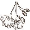 flower icon