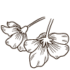 flower icon