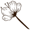 flower icon